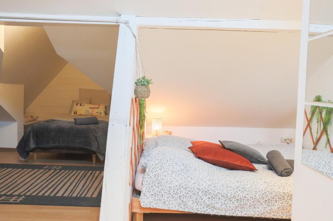 Le Petit Loft, Mulhouse Centre Apartment Exterior photo