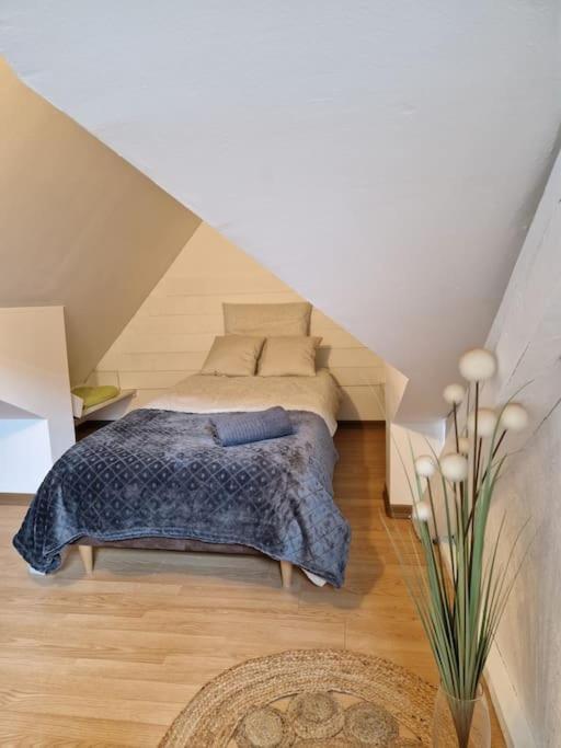 Le Petit Loft, Mulhouse Centre Apartment Exterior photo
