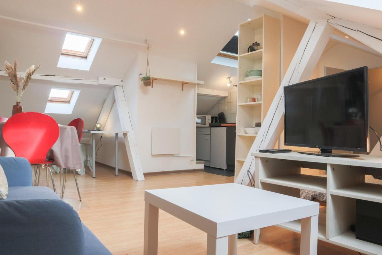 Le Petit Loft, Mulhouse Centre Apartment Exterior photo